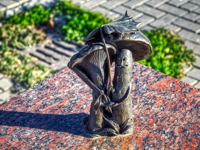 Грибная пара - фото 2